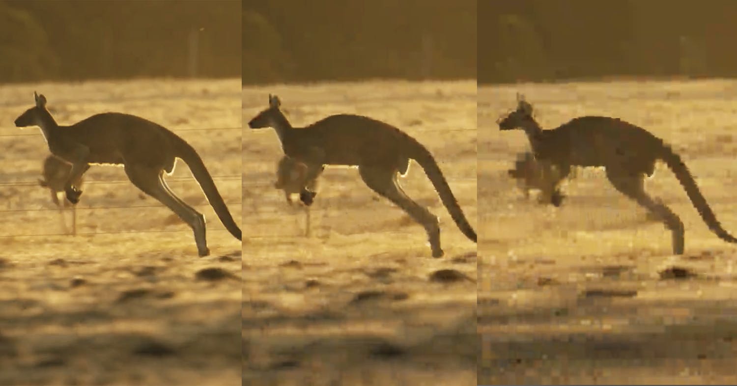 Komprimer video: Så meget kan du komprimere din video med freeconvert.com